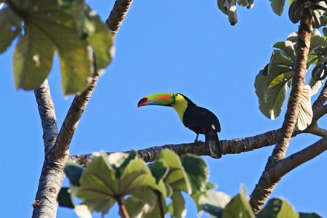 Cabana Itze La Fortuna Екстер'єр фото
